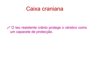 Caixa   craniana      O teu resistente crânio protege o cérebro como um capacete de protecção.   