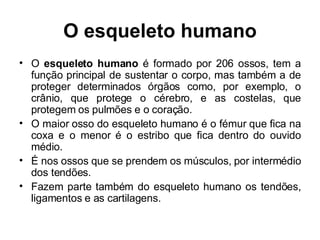O esqueleto humano O  esqueleto humano  é formado por 206 ossos, tem a função principal de sustentar o corpo, mas também a de proteger determinados órgãos como, por exemplo, o crânio, que protege o cérebro, e as costelas, que protegem os pulmões e o coração. O maior osso do esqueleto humano é o fémur que fica na coxa e o menor é o estribo que fica dentro do ouvido médio. É nos ossos que se prendem os músculos, por intermédio dos tendões. Fazem parte também do esqueleto humano os tendões, ligamentos e as cartilagens. 
