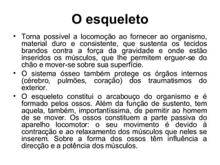 O esqueleto Torna possível a locomoção ao fornecer ao organismo, material duro e consistente, que sustenta os tecidos brandos contra a força da gravidade e onde estão inseridos os músculos, que lhe permitem erguer-se do chão e mover-se sobre sua superfície. O sistema ósseo também protege os órgãos internos (cérebro, pulmões, coração) dos traumatismos do exterior. O esqueleto constitui o arcabouço do organismo e é formado pelos ossos. Além da função de sustento, tem aquela, também, importantíssima, de permitir ao homem de se mover. Os ossos constituem a parte passiva do aparelho locomotor: o seu movimento é devido à contracção e ao relaxamento dos músculos que neles se inserem. Sobre a forma dos ossos têm influência a direcção e a potência dos músculos. 