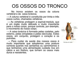 OS OSSOS DO TRONCO No tronco existem os ossos da coluna vertebral e da  caixa torácica. ->  A coluna vertebral é constituída por trinta e três ossos curtos, chamados vértebras.  ->  As vértebras protegem a espinal-medula, que é um órgão muito delicado e muito importante para o nosso corpo, porque controla, por exemplo, o movimento do nosso corpo. ->  A caixa torácica é formada pelas costelas, pelo esterno, pelas omoplatas e pelas clavículas. Estes ossos, em conjunto, protegem o coração e os pulmões.  ->  Para cuidar da saúde dos nossos ossos é muito importante que adoptemos uma postura correcta quando nos sentamos ou caminhamos e que tenhamos uma alimentação cuidada rica em cálcio e em fósforo, que tornam os ossos mais duros e resistentes. 