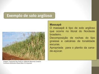 Exemplo de solo argiloso
Massapê
O massapê é tipo de solo argiloso
que ocorre no litoral do Nordeste
brasileiro.
Decomposição de rochas do tipo
gnaisse e calcárias de tonalidade
escuras.
Apropriada para o plantio da cana-
de-açúcar.
Imagem: Canaviais Sao Paulo 01 2008 06/ Mariordo/ Creative
Commons Attribution-Share Alike 3.0 Unported
 