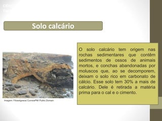 O solo calcário tem origem nas
rochas sedimentares que contêm
sedimentos de ossos de animais
mortos, e conchas abandonadas por
moluscos que, ao se decomporem,
deixam o solo rico em carbonato de
cálcio. Esse solo tem 30% a mais de
calcário. Dele é retirada a matéria
prima para o cal e o cimento.
Solo calcário
CIÊNCIAS, 6º Ano do Ensino Fundamental
Tipos de solo e suas características
Imagem: FiloesIgneos/ CorreiaPM/ Public Domain
 