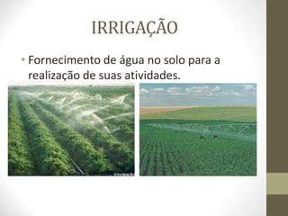 IRRIGAÇÃO
• Fornecimento de água no solo para a
realização de suas atividades.
 