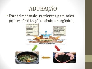 ADUBAÇÃO
• Fornecimento de nutrientes para solos
pobres: fertilização química e orgânica.
 