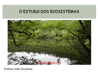 Profesor: Adán Gonçalves
O ESTUDO DOS ECOSISTEMAS
©www.adelaleiro.com
 