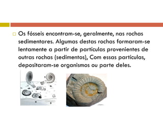  Os fósseis encontram-se, geralmente, nas rochas
sedimentares. Algumas destas rochas formaram-se
lentamente a partir de partículas provenientes de
outras rochas (sedimentos), Com essas partículas,
depositaram-se organismos ou parte deles.
 