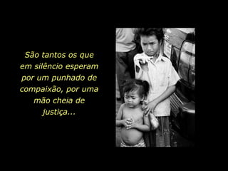 São tantos os que
em silêncio esperam
por um punhado de
compaixão, por uma
   mão cheia de
     justiça...
 