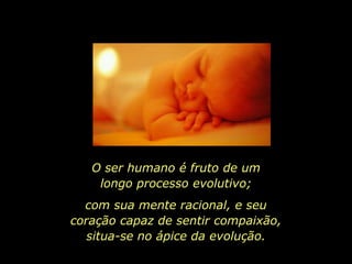 O ser humano é fruto de um
    longo processo evolutivo;
  com sua mente racional, e seu
coração capaz de sentir compaixão,
   situa-se no ápice da evolução.
 