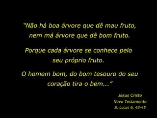 “Não há boa árvore que dê mau fruto,
  nem má árvore que dê bom fruto.

 Porque cada árvore se conhece pelo
         seu próprio fruto.

O homem bom, do bom tesouro do seu
        coração tira o bem...”
                                   Jesus Cristo
                                 Novo Testamento
                                 S. Lucas 6, 43-45
 