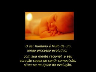O ser humano é fruto de um longo processo evolutivo;  com sua mente racional, e seu coração capaz de sentir compaixão, situa-se no ápice da evolução. 