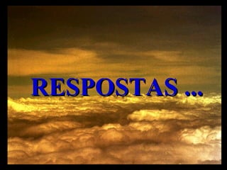 RESPOSTAS ... 