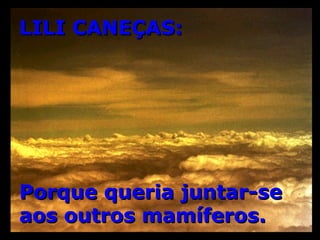 LILI CANEÇAS: Porque queria juntar-se aos outros mamíferos. 