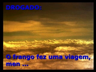 DROGADO: O frango fez uma viagem, men ... 