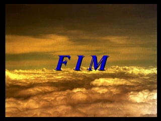 F I M 
