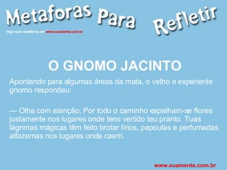 O GNOMO JACINTO Apontando para algumas áreas da mata, o velho e experiente gnomo respondeu: —  Olha com atenção. Por todo o caminho espalham-se flores justamente nos lugares onde tens vertido teu pranto. Tuas lágrimas mágicas têm feito brotar lírios, papoulas e perfumadas alfazemas nos lugares onde caem. www.suamente.com.br 
