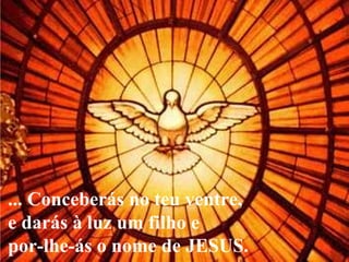 ... Conceberás no teu ventre, e darás à luz um filho e por-lhe-ás o nome de JESUS.