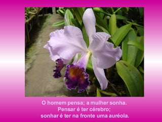 O homem pensa; a mulher sonha.  Pensar é ter cérebro;  sonhar é ter na fronte uma auréola. 