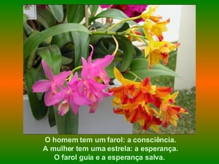 O homem tem um farol: a consciência. A mulher tem uma estrela: a esperança. O farol guia e a esperança salva.  