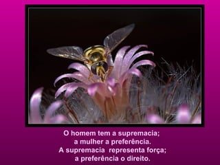 O homem tem a supremacia;  a mulher a preferência. A supremacia  representa força;  a preferência o direito. 