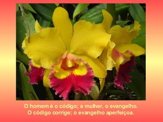 O homem é o código; a mulher, o evangelho.  O código corrige; o evangelho aperfeiçoa.   