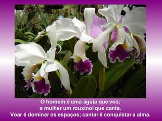 O homem é uma águia que voa;  a mulher um rouxinol que canta.  Voar é dominar os espaços; cantar é conquistar a alma.  