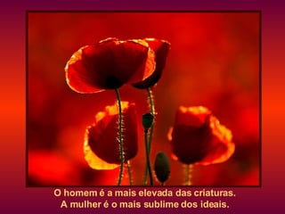 O homem é a mais elevada das criaturas. A mulher é o mais sublime dos ideais. 