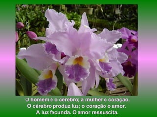 O homem é o cérebro; a mulher o coração. O cérebro produz luz; o coração o amor.  A luz fecunda. O amor ressuscita. 