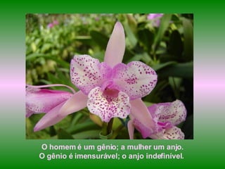 O homem é um gênio; a mulher um anjo. O gênio é imensurável; o anjo indefinível.  
