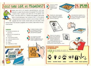 O homem e sua grande aventura