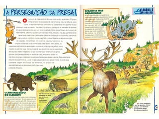 O homem e sua grande aventura