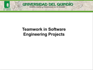 Teamwork in Software
Engineering Projects
 