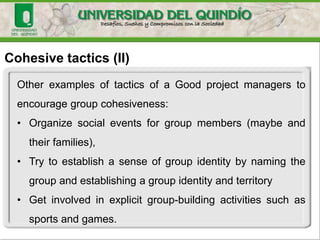 Cohesive tactics (II)
Other examples of tactics of a Good project managers to
encourage group cohesiveness:
• Organize social events for group members (maybe and
their families),
• Try to establish a sense of group identity by naming the
group and establishing a group identity and territory
• Get involved in explicit group-building activities such as
sports and games.
 