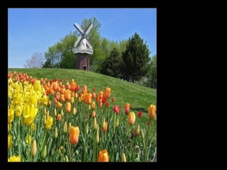 Guarda em tua vida só as caricias desfrutadas. Esquece as bofetadas recebidas... Conta aos homens o azul de suas primaveras.  E nunca as tempestades do verão... 