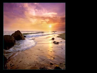 A flor que se abre é mais importante que mil pétalas caídas. Olha de frente o sol que existe em tua vida. Ignora a sombra que estás para trás... 