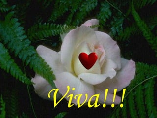 Viva!!!
 