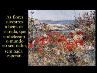 As flores silvestres  à beira da  estrada, que embelezam o mundo ao seu redor, sem nada  esperar. 