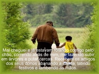 Mal cheguei e já estavam rolando comigo pelo chão, correndo atrás de mim, me fazendo subir em árvores e pular cercas. Recebem os amigos dos seus donos abanando a cauda, latindo festivos e lambendo as mãos. 