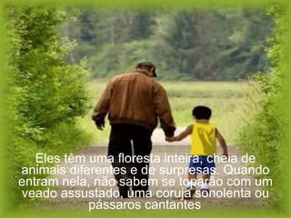 Eles têm uma floresta inteira, cheia de animais diferentes e de surpresas. Quando entram nela, não sabem se toparão com um veado assustado, uma coruja sonolenta ou pássaros cantantes   