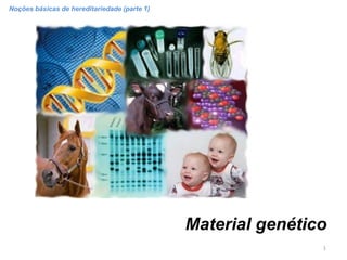 Noções básicas de hereditariedade (parte 1)




                                              Material genético
                                                              1