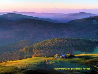Schwarzwald, the Black Forest 