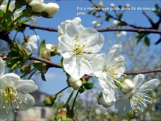 Fiz o melhor que pude, pois fiz do meu jeito.  