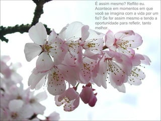 É assim mesmo? Reflito eu. Acontece em momentos em que você se imagina com a vida por um fio? Se for assim mesmo e tendo a oportunidade para refletir, tanto melhor.  