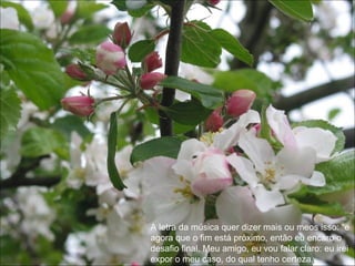 A letra da música quer dizer mais ou meos isso: “e  agora que o fim está próximo, então eu encaro o desafio final. Meu amigo, eu vou falar claro: eu irei expor o meu caso, do qual tenho certeza.  