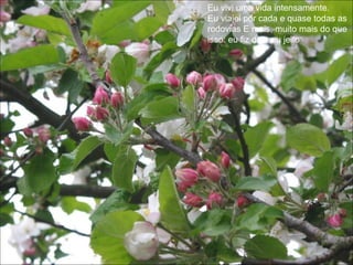 Eu vivi uma vida intensamente.  Eu viajei por cada e quase todas as rodovias E mais, muito mais do que isso: eu fiz do meu jeito  