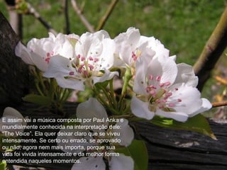 E assim vai a música composta por Paul Anka e mundialmente conhecida na interpretação dele: “The Voice”. Ela quer deixar claro que se viveu intensamente. Se certo ou errado, se aprovado ou não, agora nem mais importa, porque sua vida foi vivida intensamente e da melhor forma entendida naqueles momentos. 