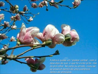 A letra é quase um “prestar contas”, com a desculpa de que, o que foi vivido já foi, não dá pra voltar. Se certo ou errado, viveu-se se possível dentro de uma coerência, dentro de princípios.  