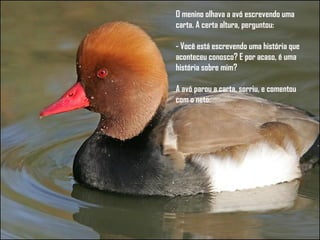 O menino olhava a avó escrevendo uma carta. A certa altura, perguntou:    - Você está escrevendo uma história que aconteceu conosco? E por acaso, é uma história sobre mim?    A avó parou a carta, sorriu, e comentou com o neto:  