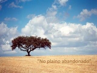 “ No plaino abandonado” 