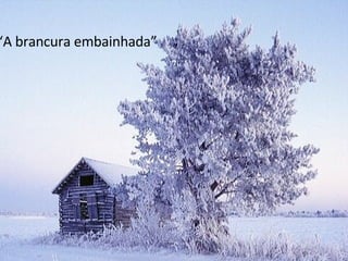 “ A brancura embainhada” 