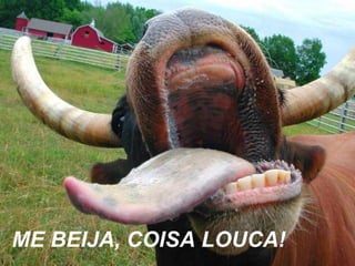 O Meu Nome é Carolina